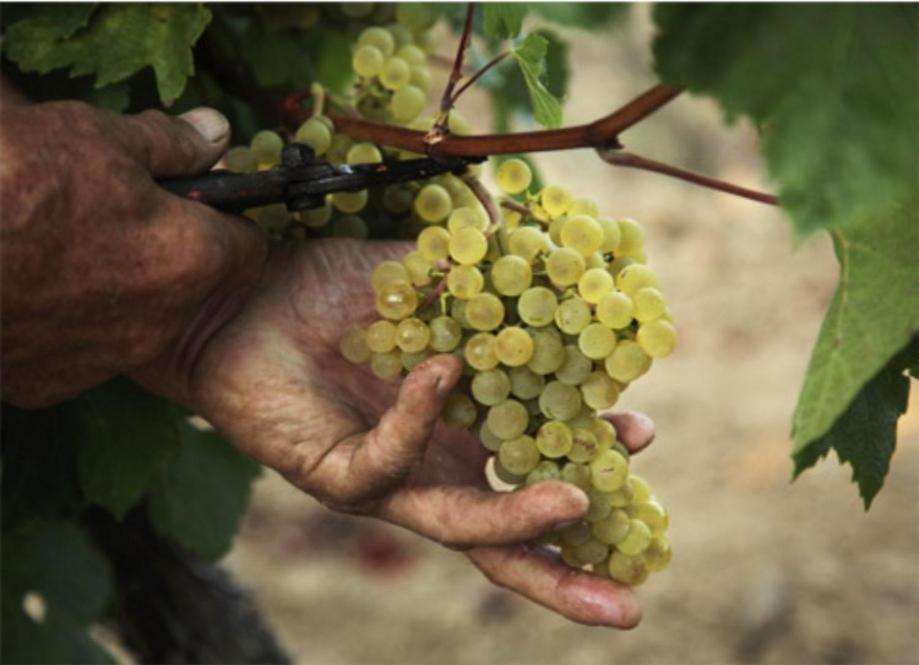 Aparthotel Le Freginat - Mauzac Limoux Zewnętrze zdjęcie